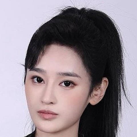 Hong Lei