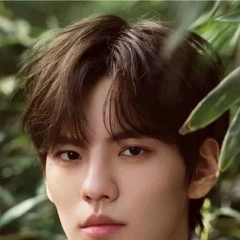 Bi Wenjun