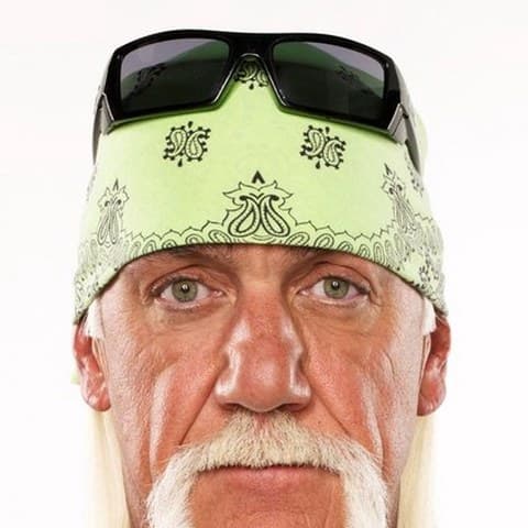 Hulk Hogan
