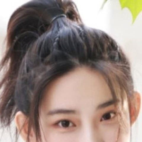 Cheng Sihan